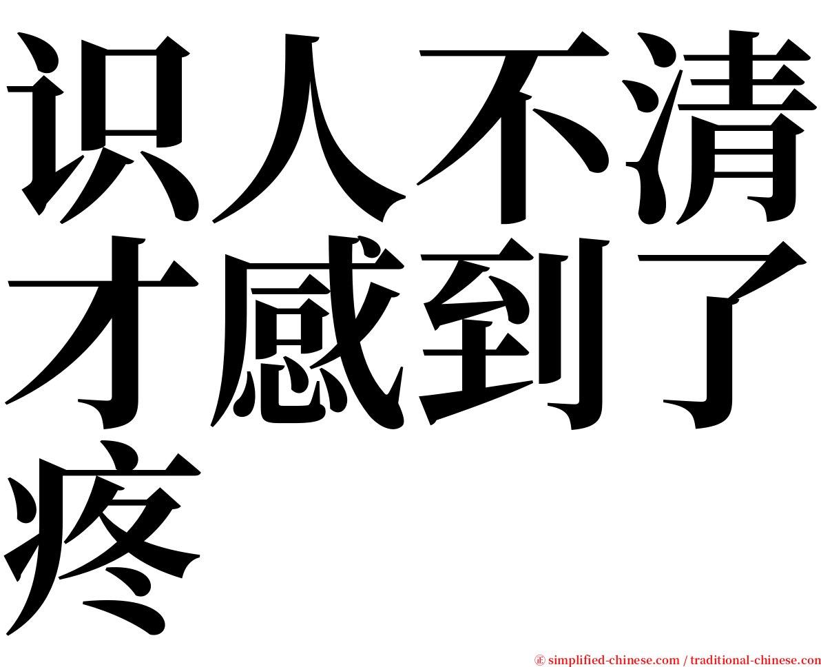识人不清才感到了疼 serif font