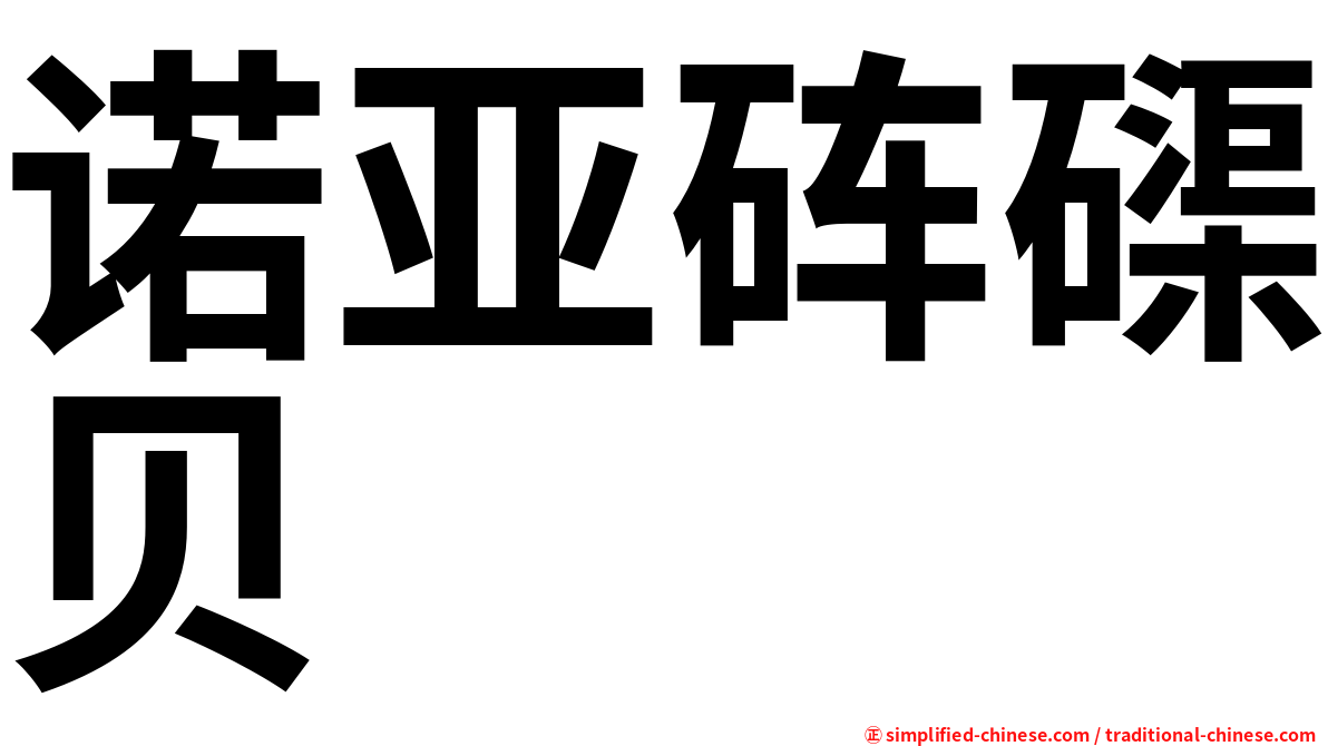 诺亚砗磲贝