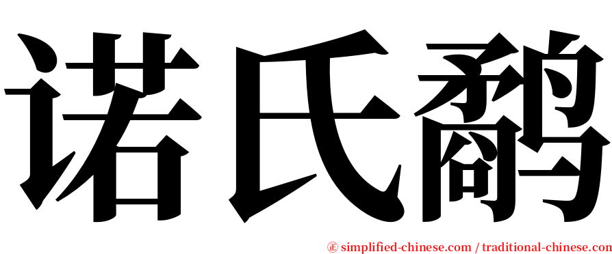 诺氏鹬 serif font