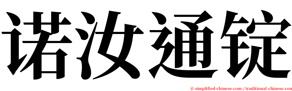诺汝通锭 serif font