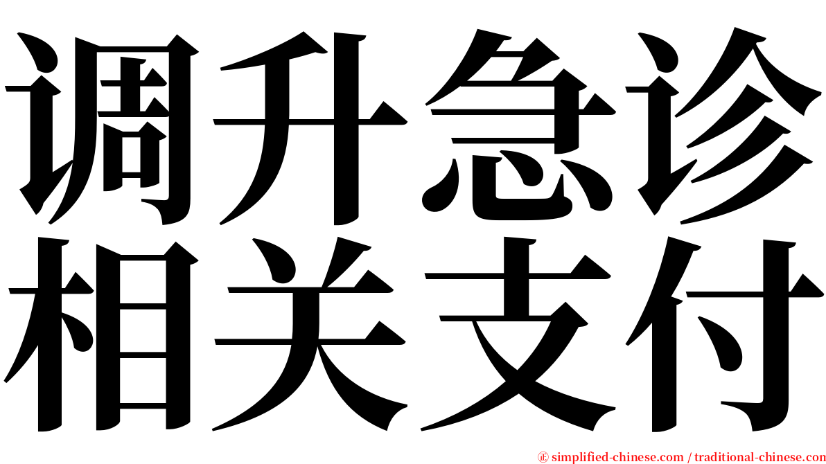 调升急诊相关支付 serif font