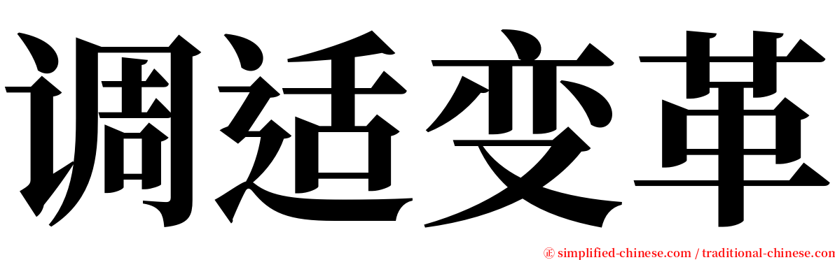 调适变革 serif font