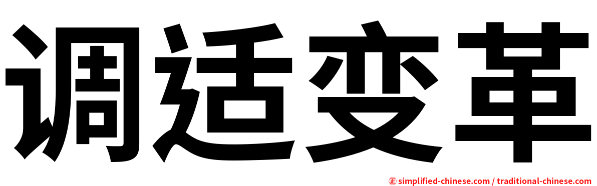 调适变革
