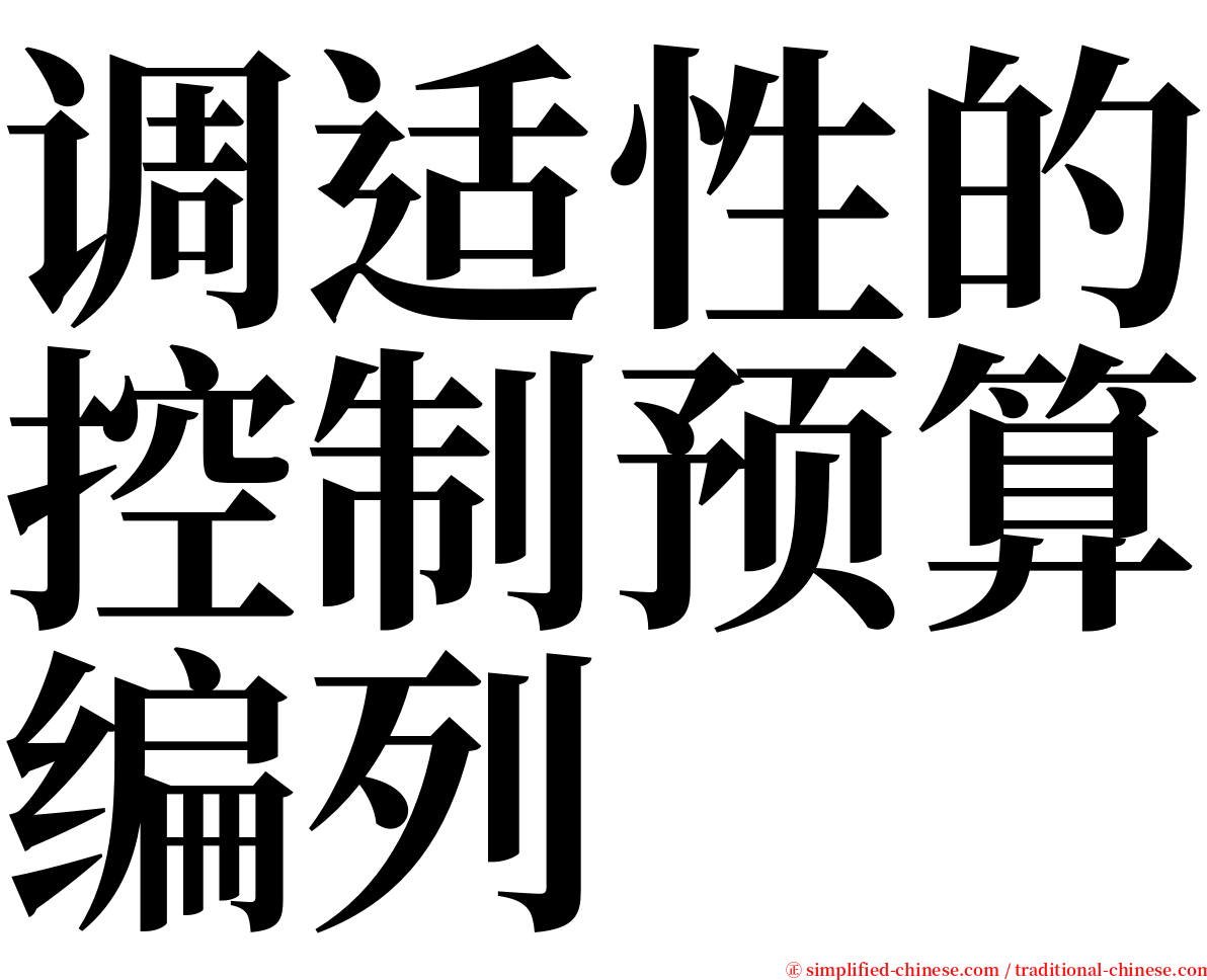 调适性的控制预算编列 serif font