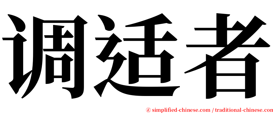 调适者 serif font