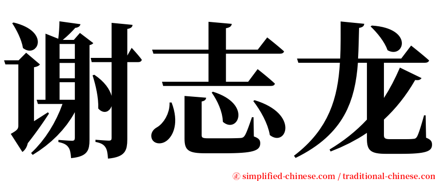 谢志龙 serif font