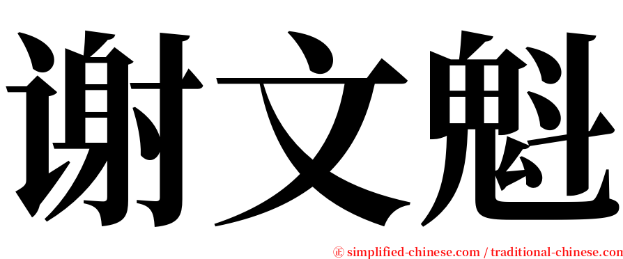 谢文魁 serif font