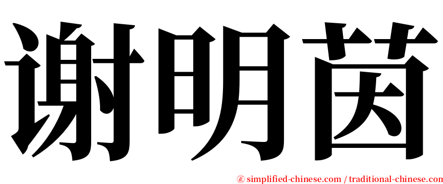 谢明茵 serif font