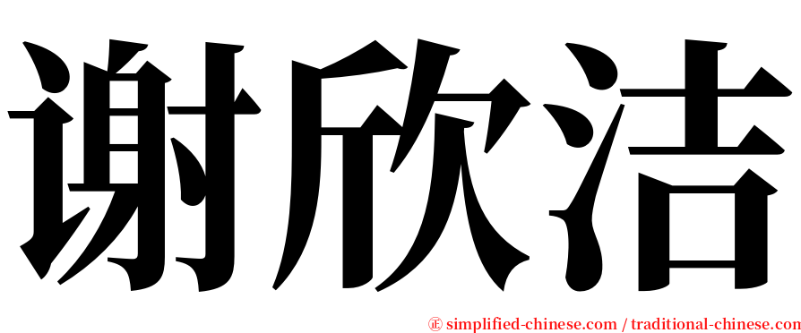 谢欣洁 serif font