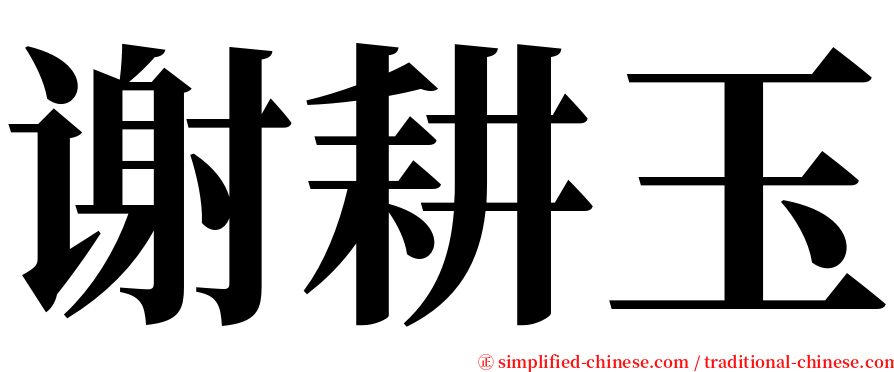 谢耕玉 serif font