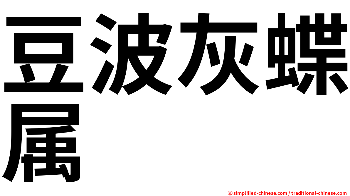 豆波灰蝶属