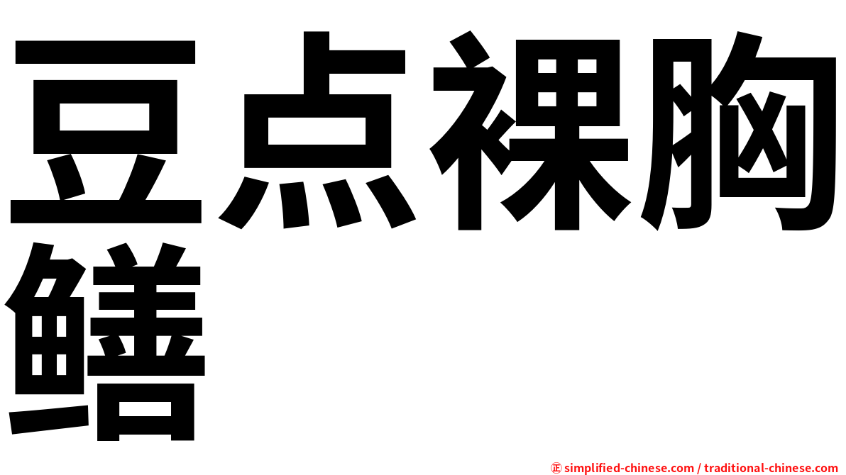 豆点裸胸鳝
