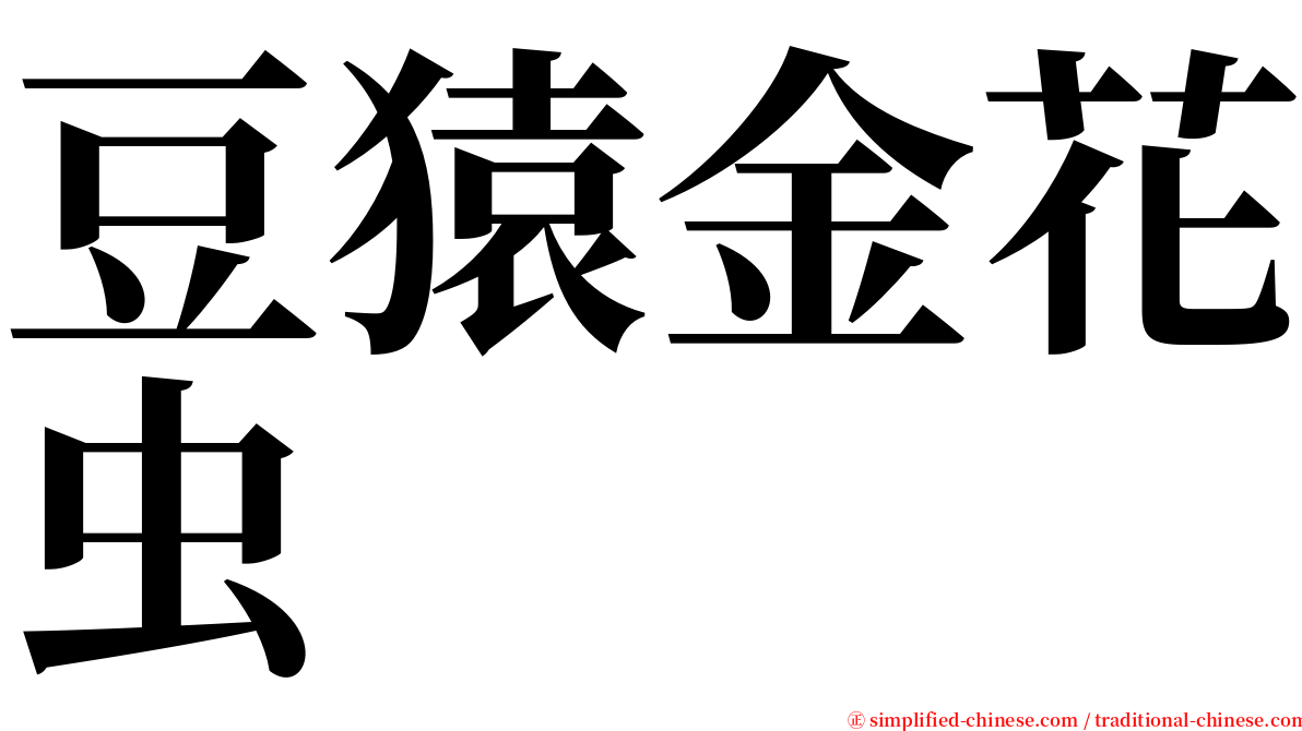 豆猿金花虫 serif font