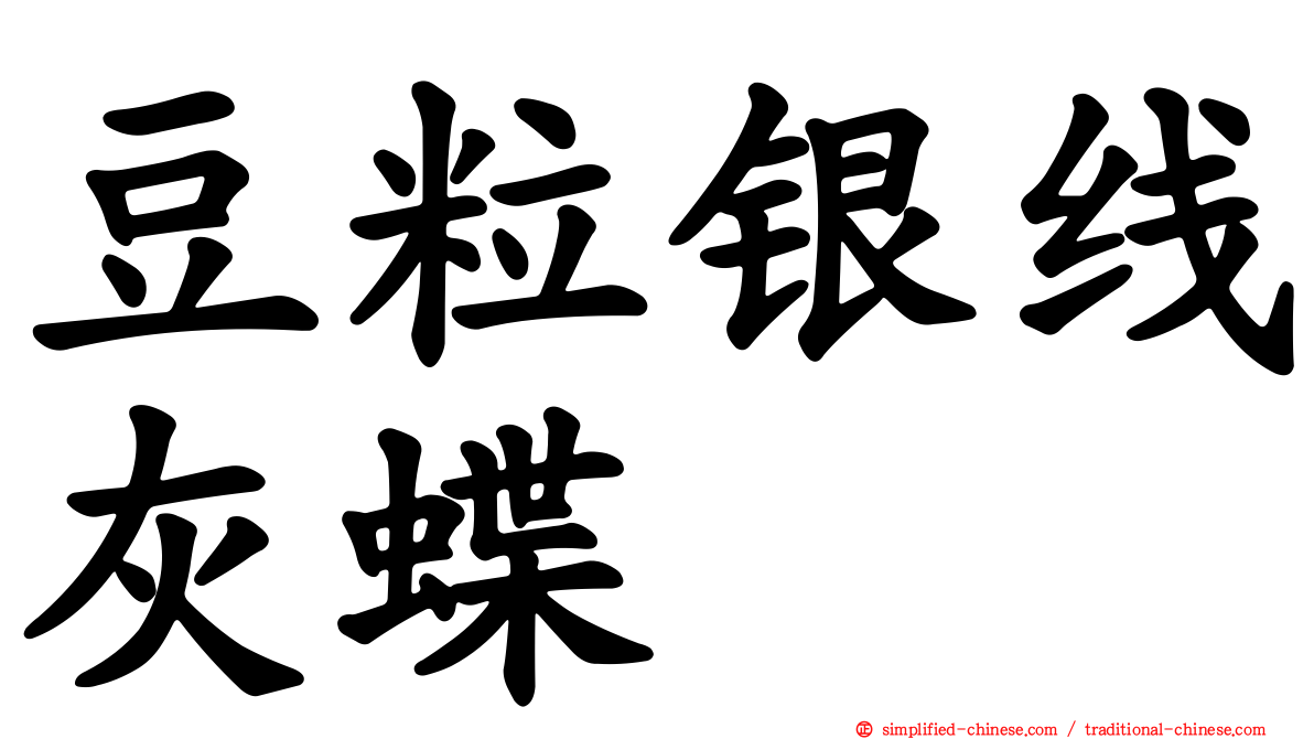 豆粒银线灰蝶