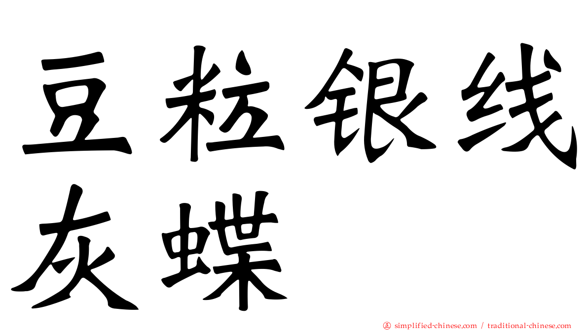 豆粒银线灰蝶