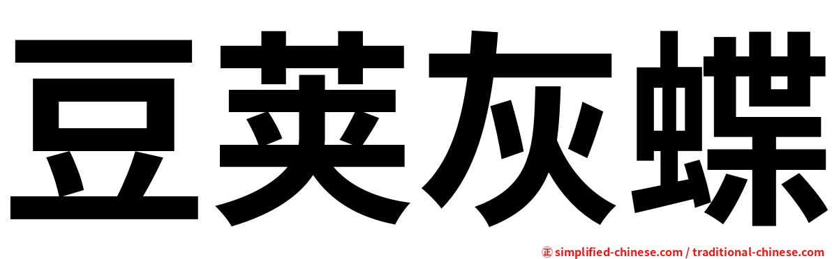 豆荚灰蝶