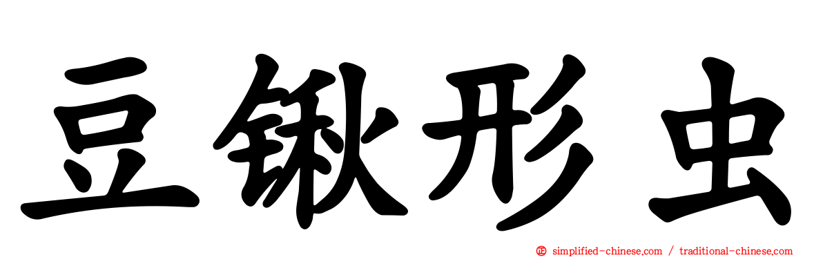 豆锹形虫