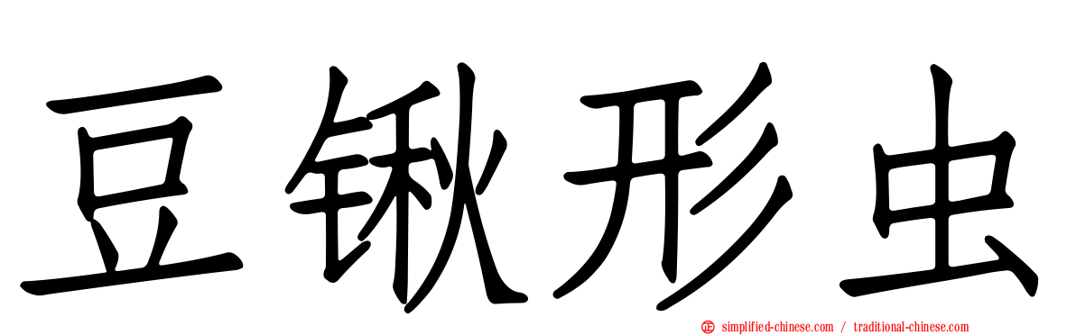 豆锹形虫