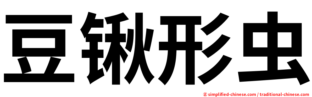 豆锹形虫