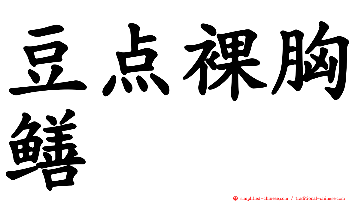 豆点裸胸鳝