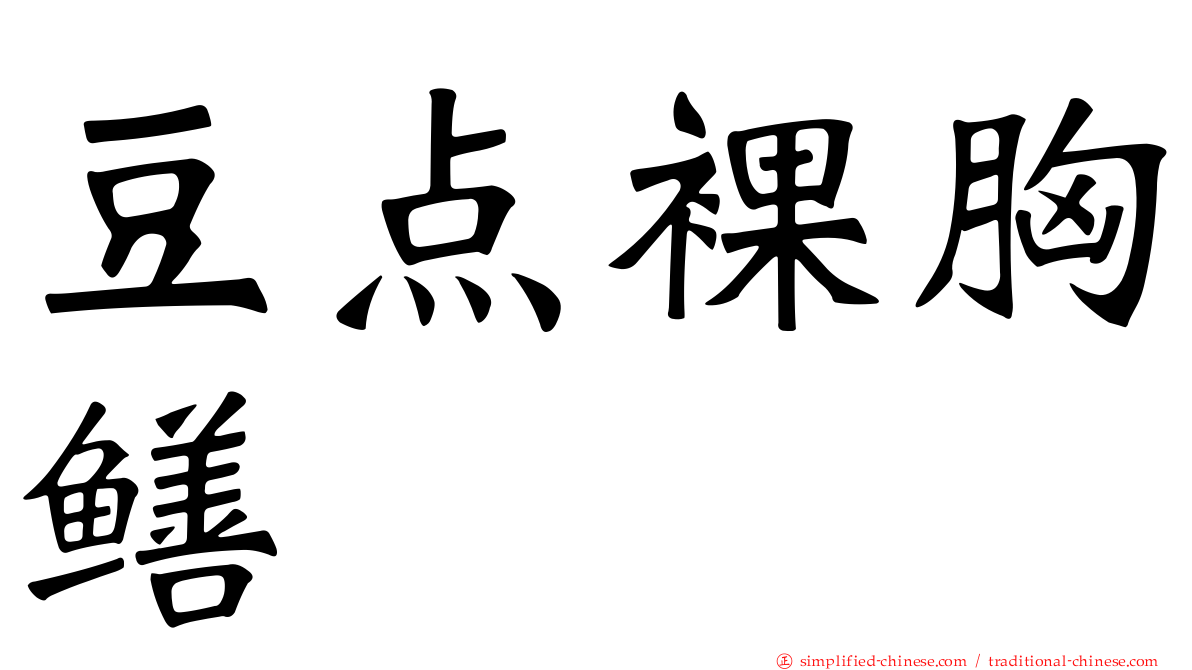 豆点裸胸鳝