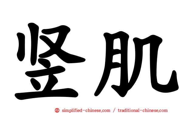 竖肌