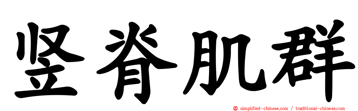 竖脊肌群