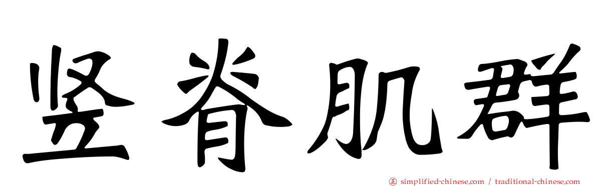 竖脊肌群