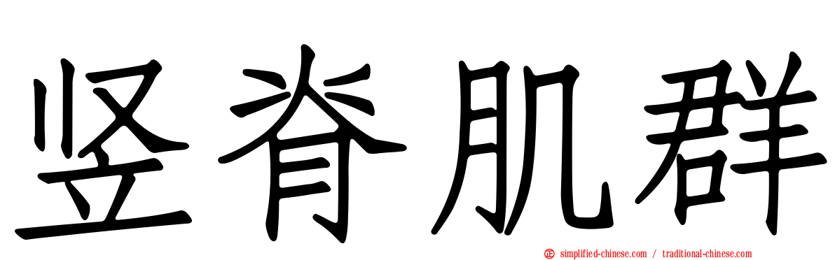 竖脊肌群