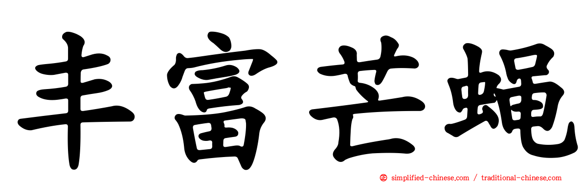 丰富芒蝇