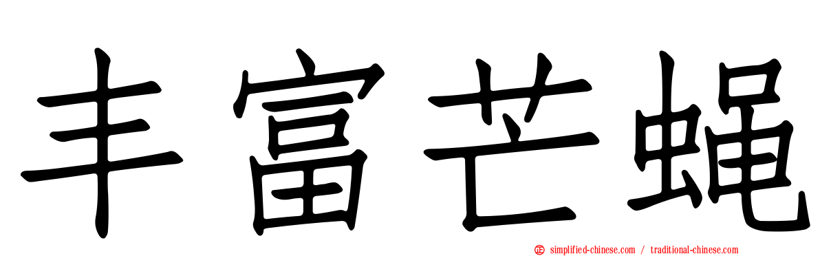 丰富芒蝇