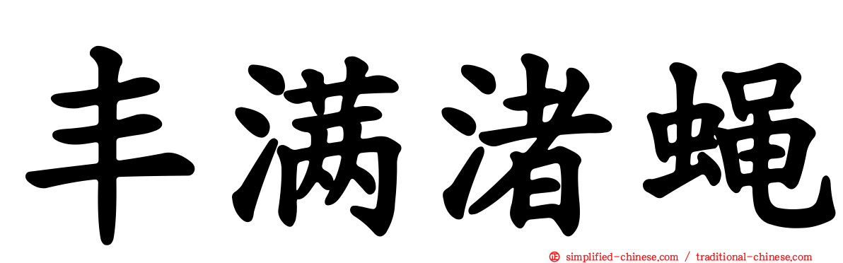 丰满渚蝇