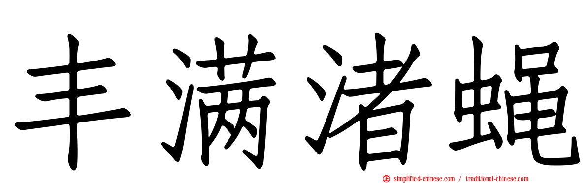 丰满渚蝇