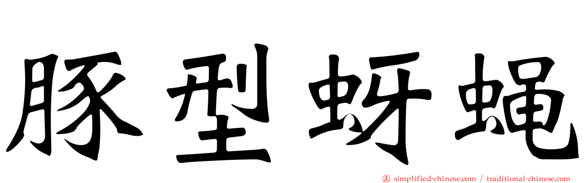 豚型蚜蝇