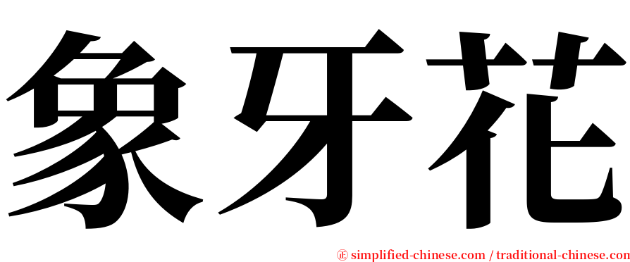 象牙花 serif font