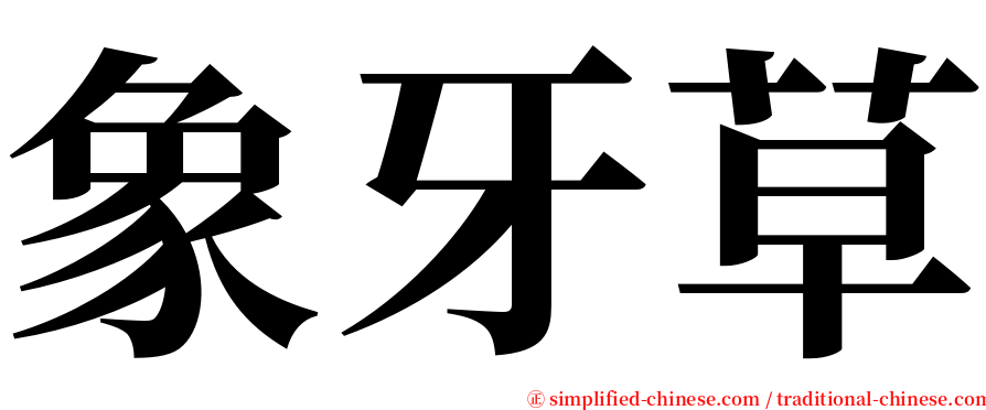 象牙草 serif font