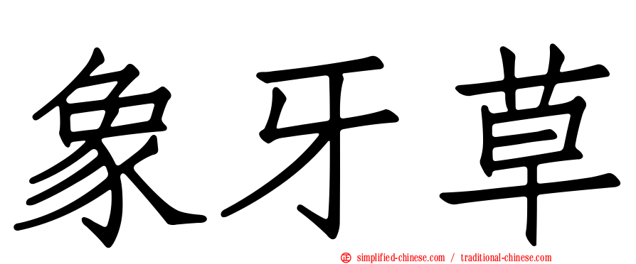 象牙草