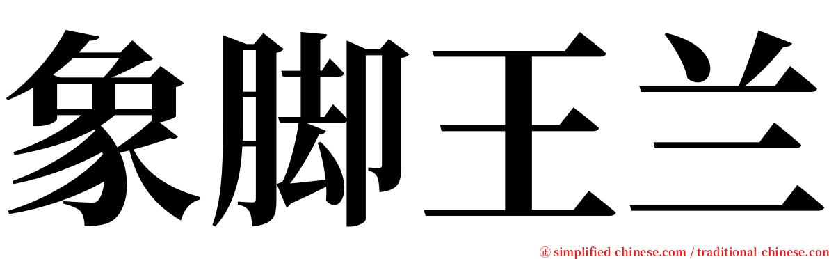 象脚王兰 serif font
