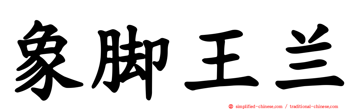 象脚王兰