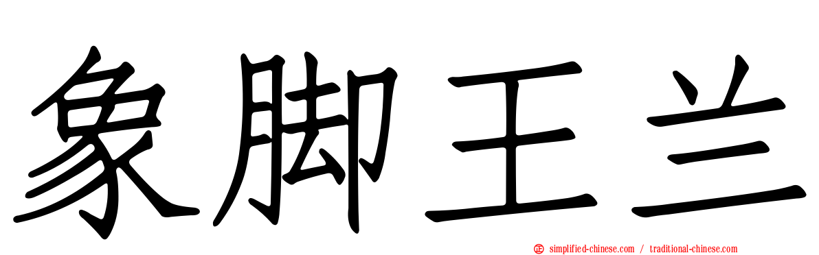 象脚王兰