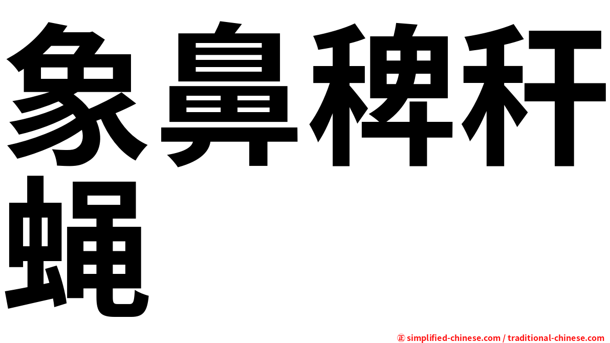 象鼻稗秆蝇