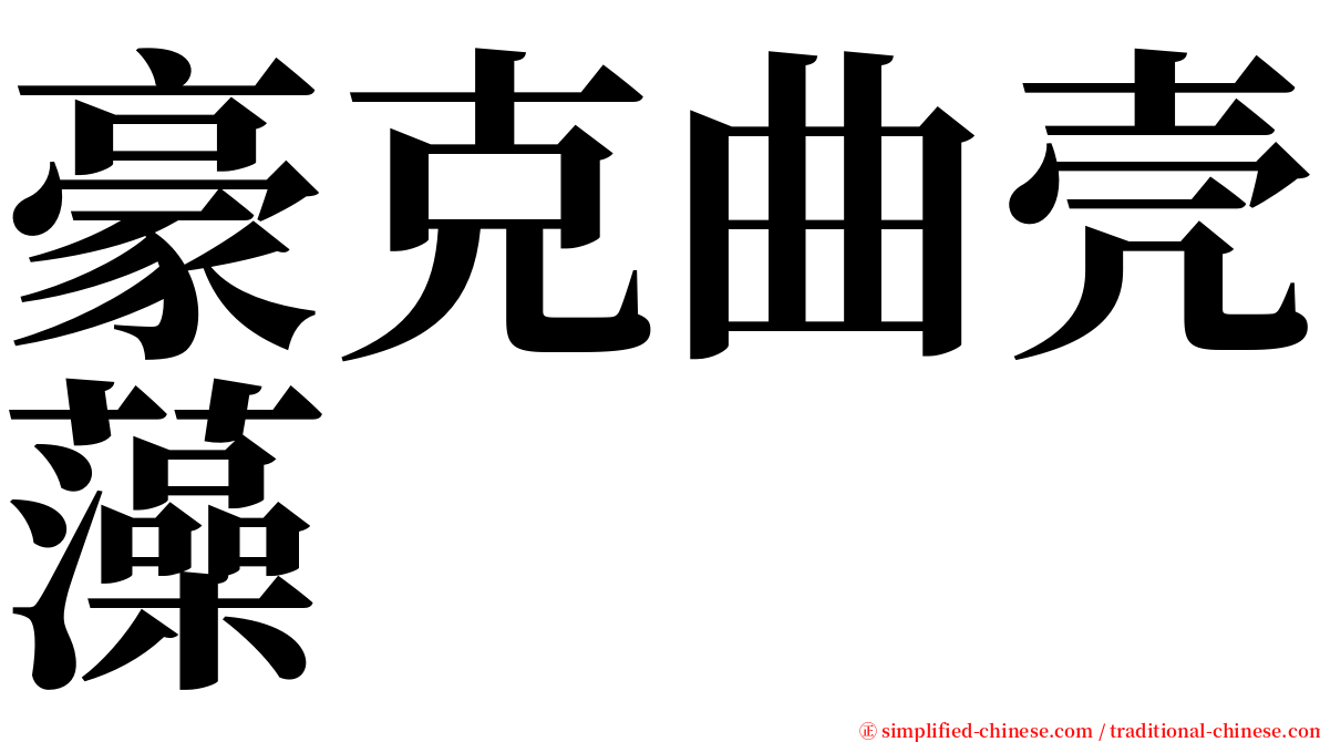 豪克曲壳藻 serif font