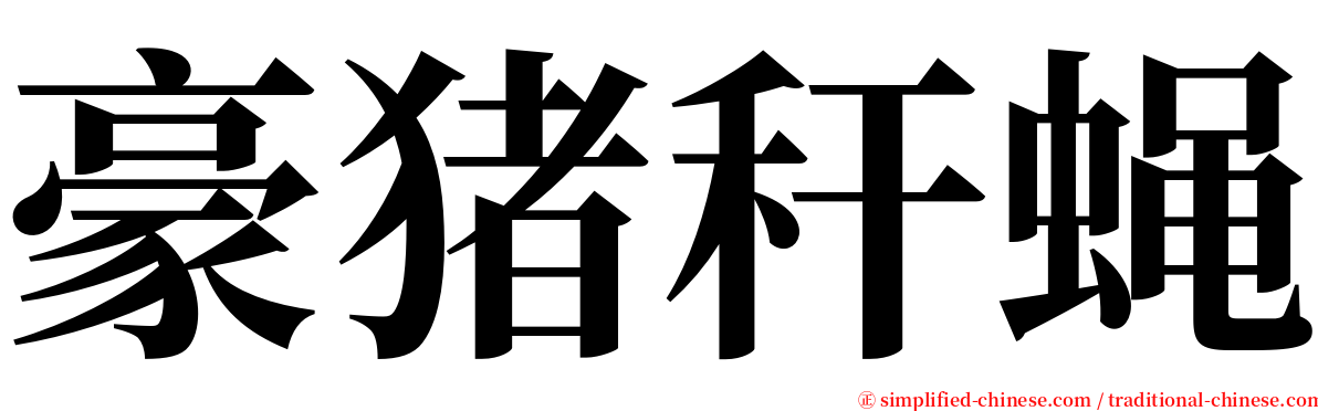 豪猪秆蝇 serif font
