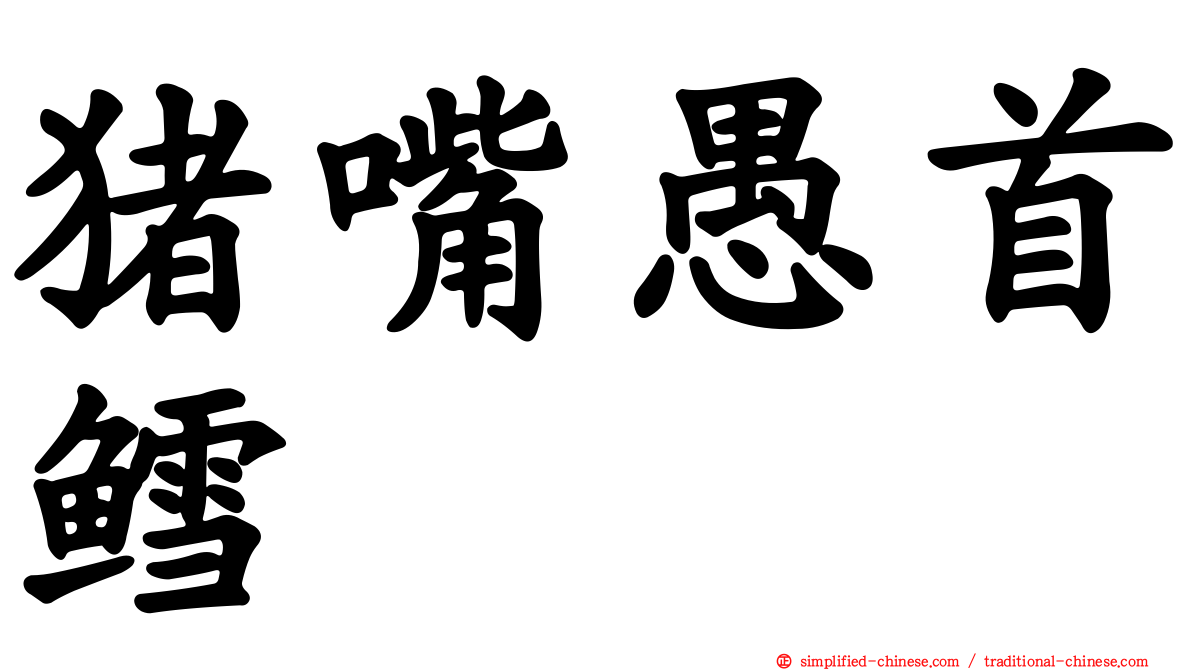 猪嘴愚首鳕