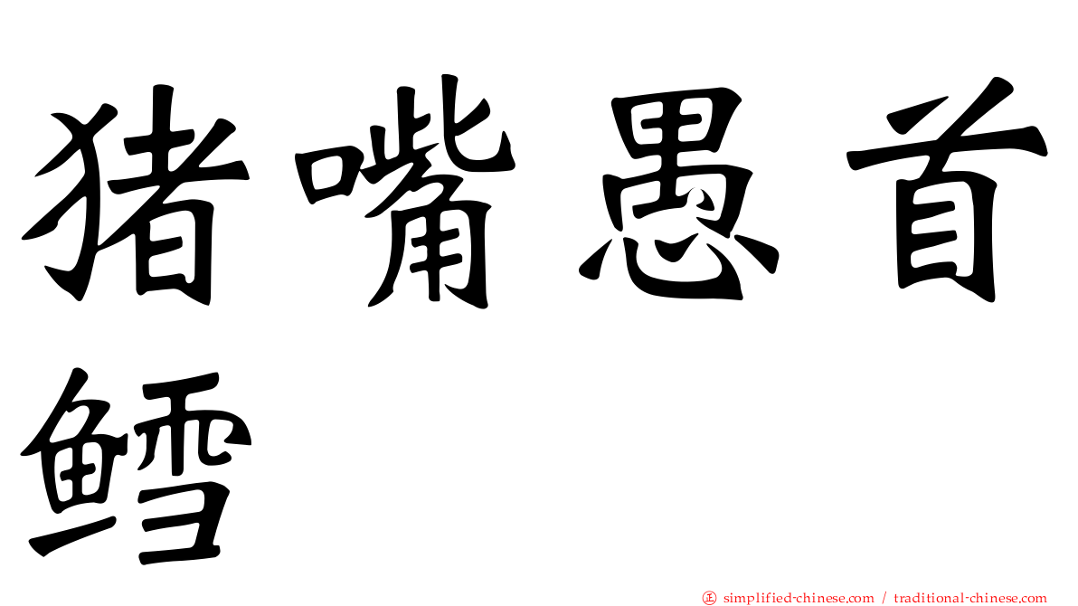 猪嘴愚首鳕