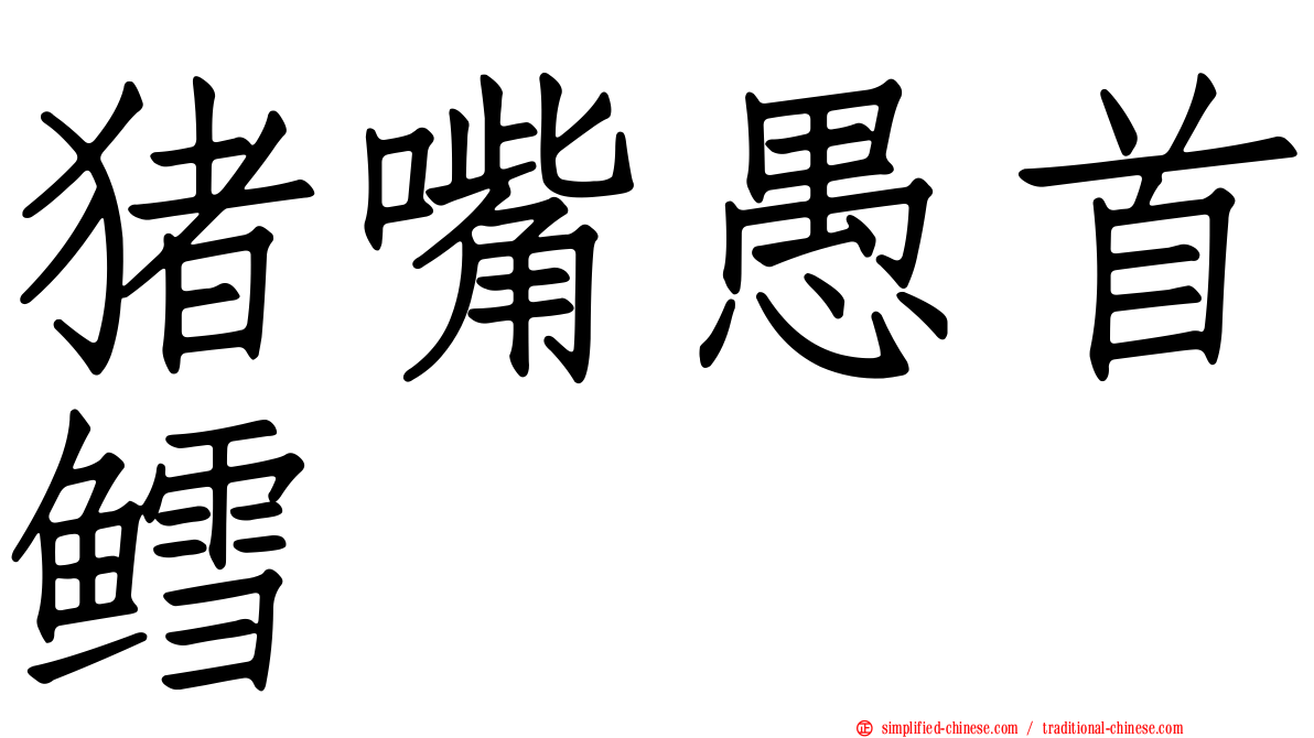 猪嘴愚首鳕