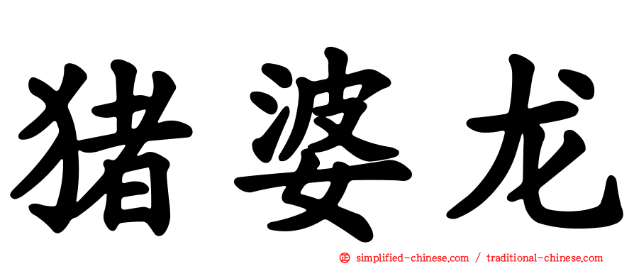 猪婆龙