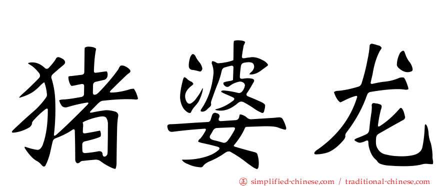 猪婆龙