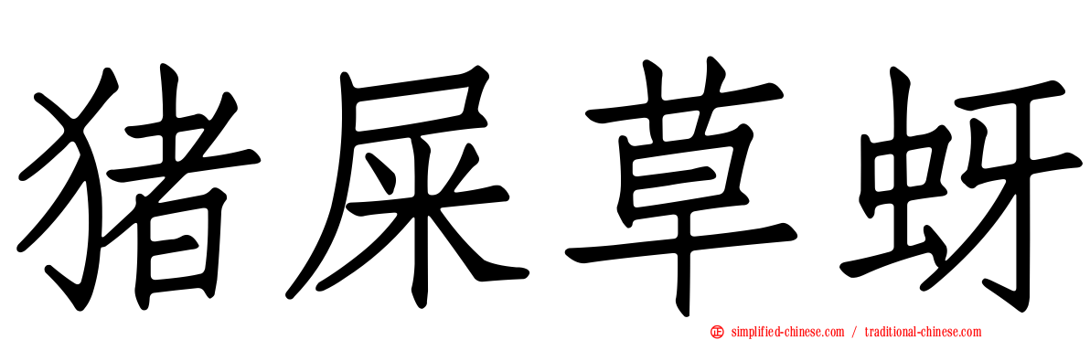 猪屎草蚜