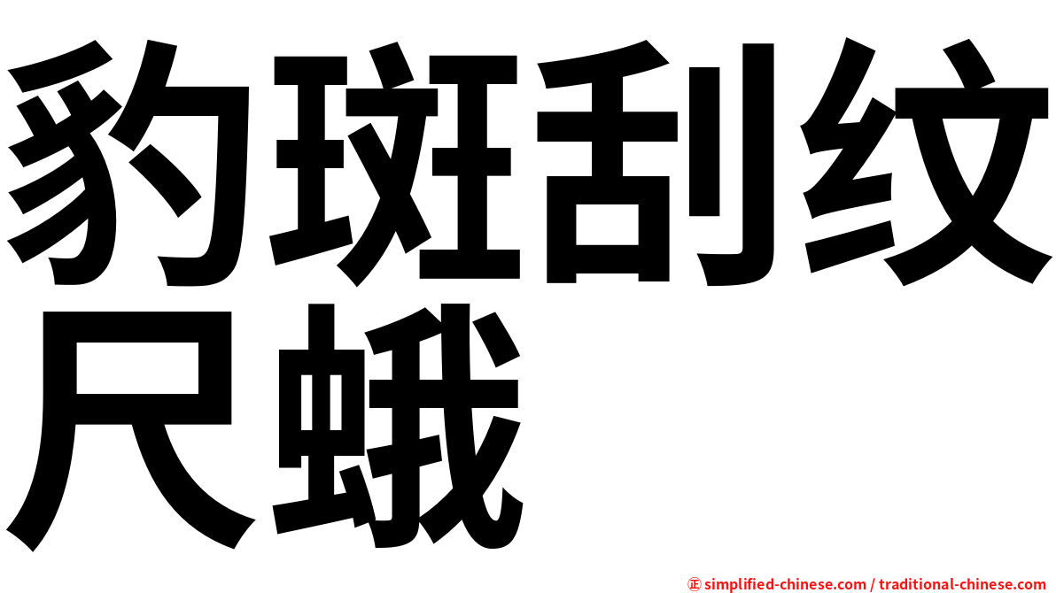 豹斑刮纹尺蛾